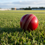 Best Cricket Balls 2026: Match, Practice and Training Options