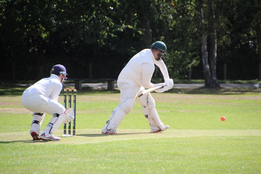 best cricket bats cricket