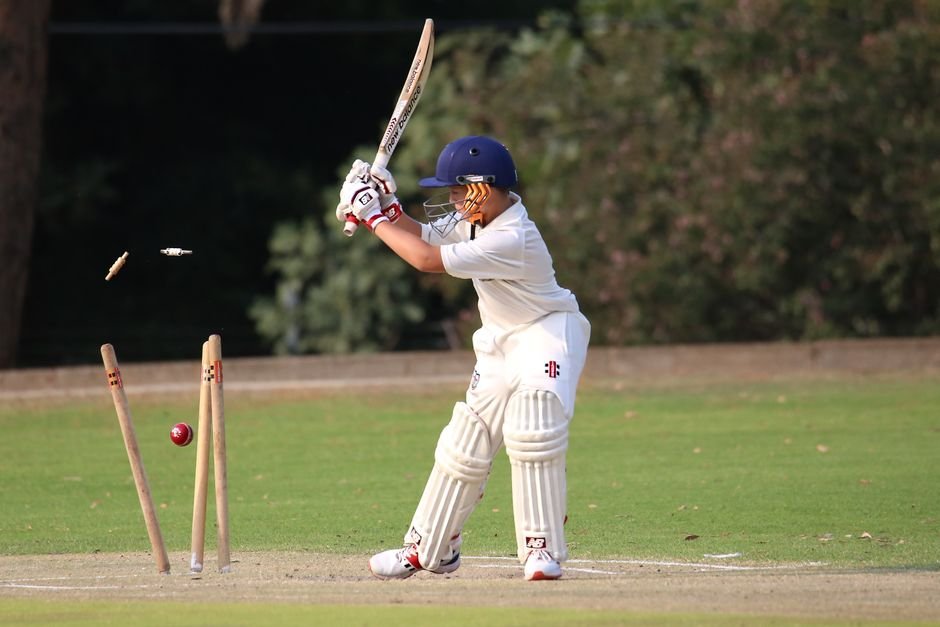 best junior cricket bat cricket