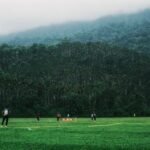 How Weather Affects Fantasy Cricket: Rain, Dew and Pitch Impact