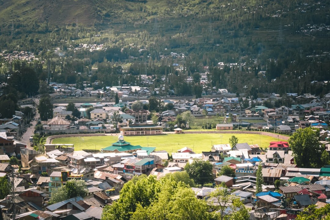 kashmir willow vs english willow cricket