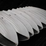 Best Cricket Abdominal Guards 2026: Protection That Actually Fits