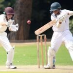 Best Cricket Bats for Beginners 2026: Top 8 Starter Picks