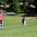Best Cricket Bats for T20 2026: Power Hitting Picks