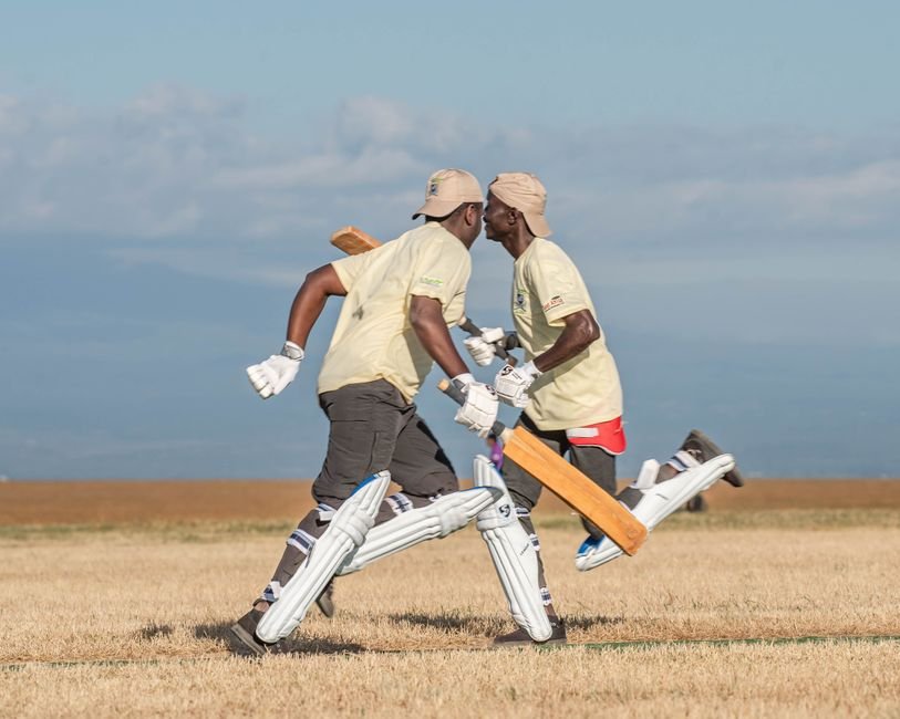 best cricket bat for t20 cricket