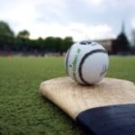 Best English Willow Cricket Bats Under 150 Dollars 2026