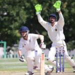 Cricket Batting Gloves Buying Guide: Everything You Need to Know