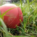 Cricket Fielding Positions Explained: Complete Guide with Diagram