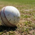 How to Read Pitch Reports for Fantasy Cricket: A Practical Guide