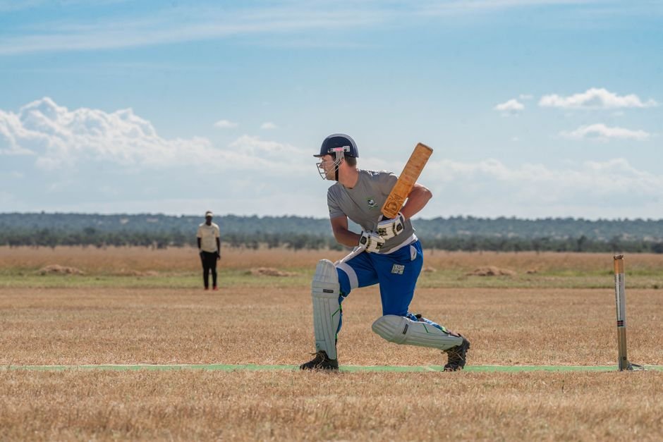 kashmir willow vs english willow cricket