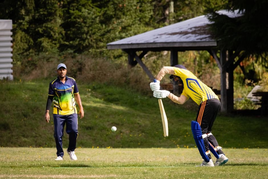 ss cricket bat review cricket