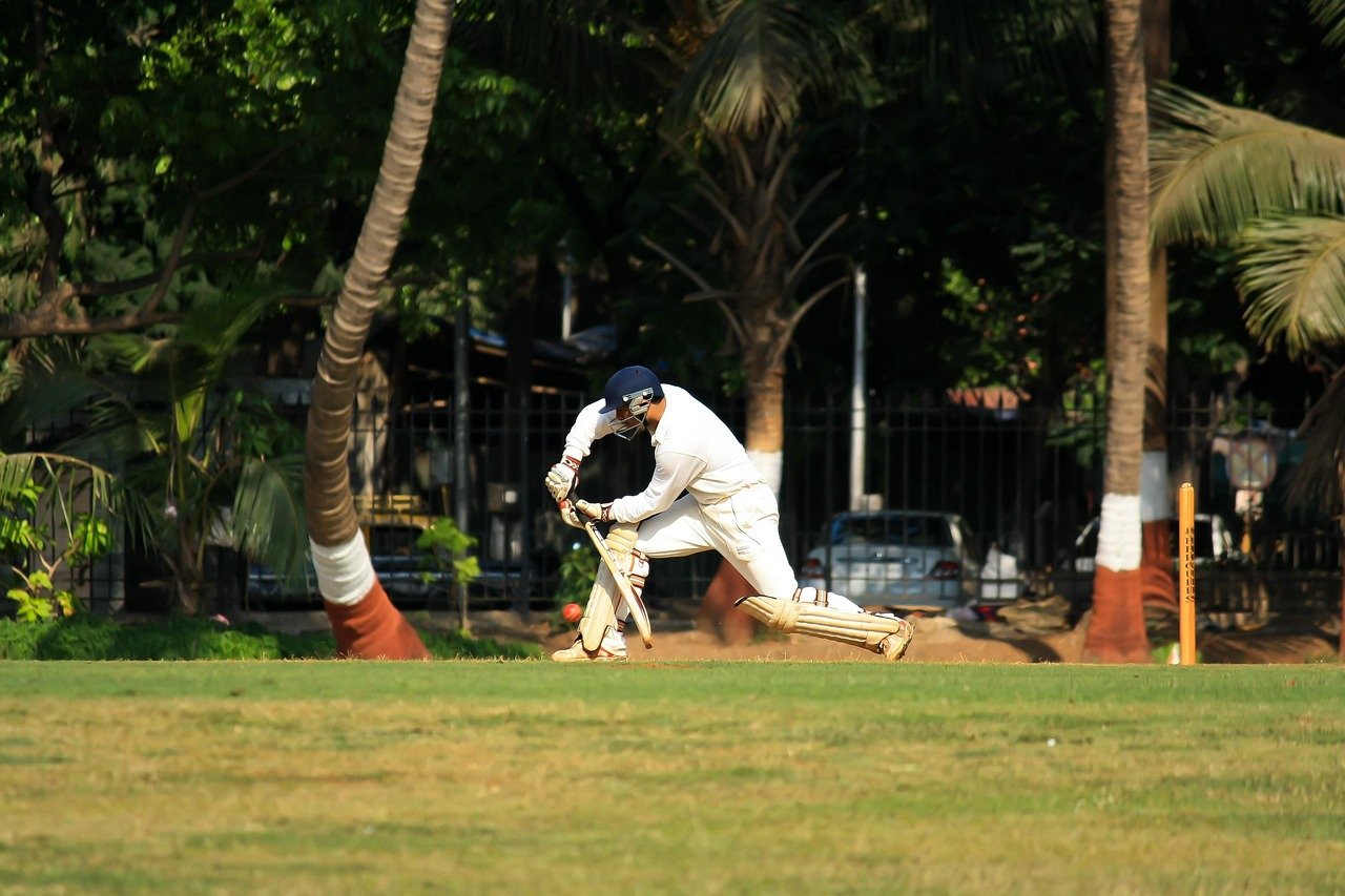 ss cricket bat review cricket