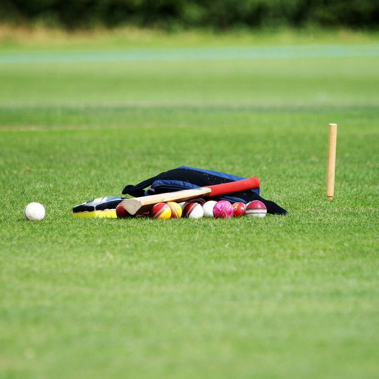 cricket bat size guide cricket