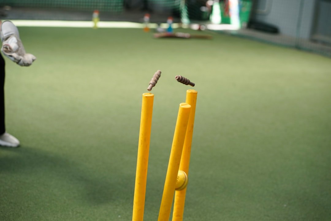 cricket bat weight guide cricket