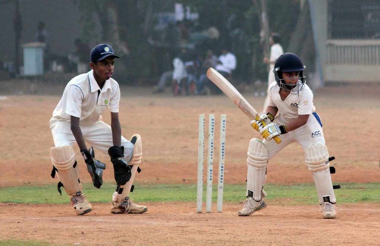 how to knock in a cricket bat cricket
