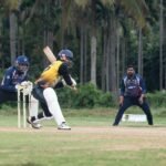 How to Oil a Cricket Bat: Step-by-Step Guide for New Bats